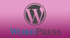 WordPress powered websites at plumbwebsolutions.com